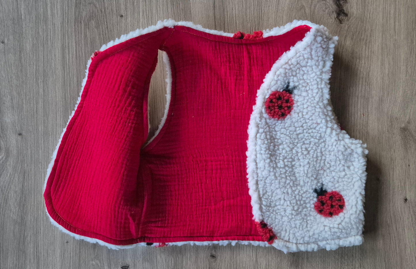 ♤ Lieveheersbeestje