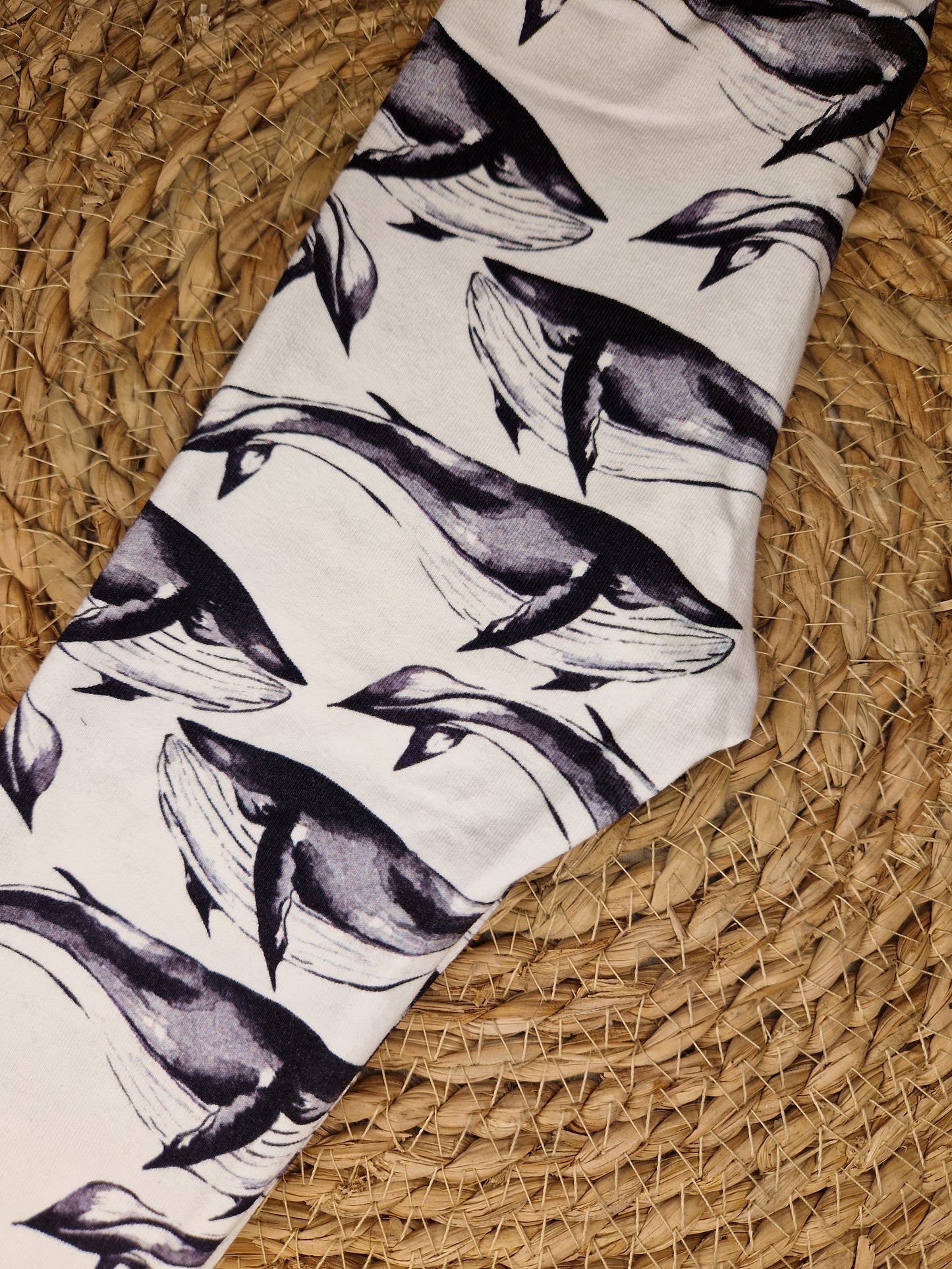 ♡ Walvis