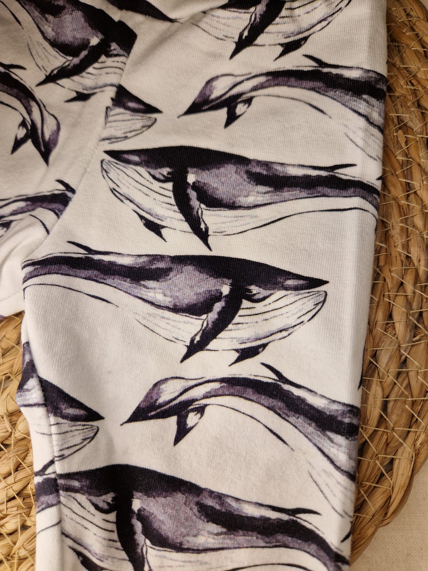 ♡ Walvis