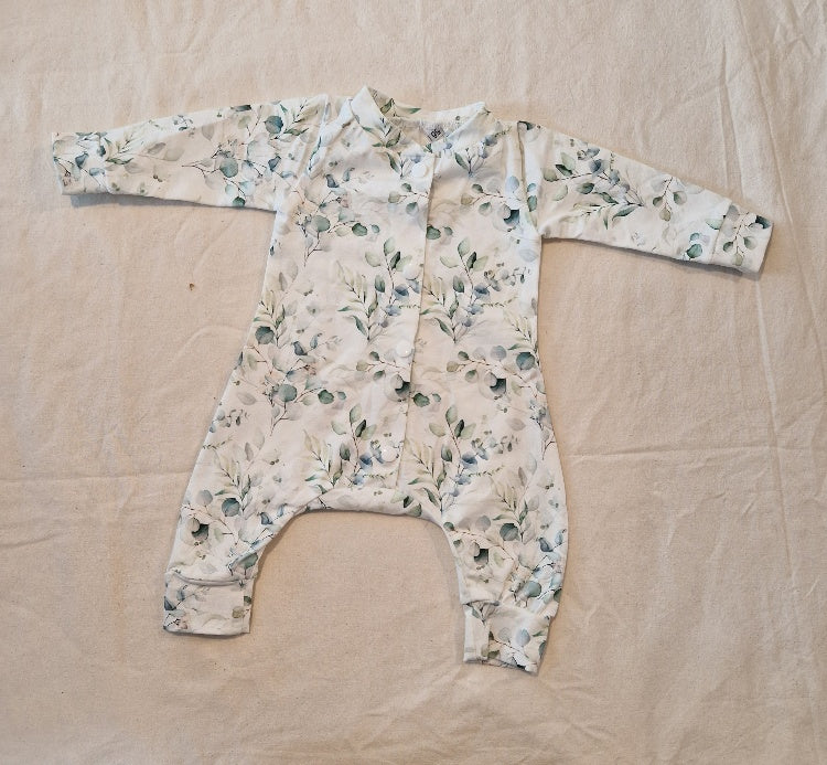 ○ Eucalyptus blauw en groen