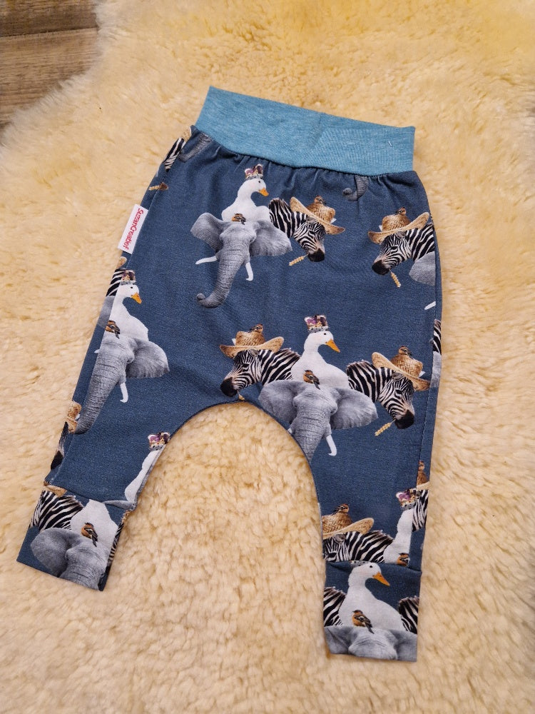 < Olifant en zebra