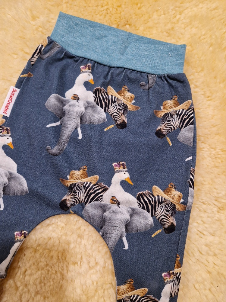 < Olifant en zebra