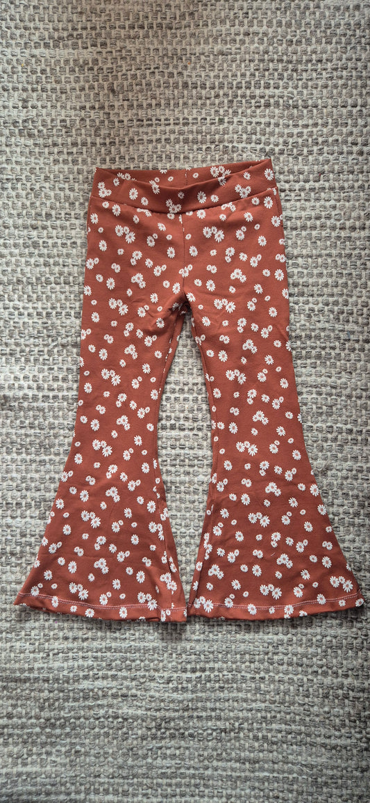 _ Bruine madeliefjes